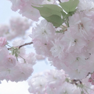 兽设场景透视绘画教程Furry群